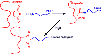 Maleated Polymers