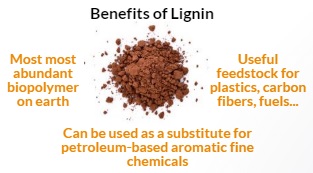 Benefits of Lignin