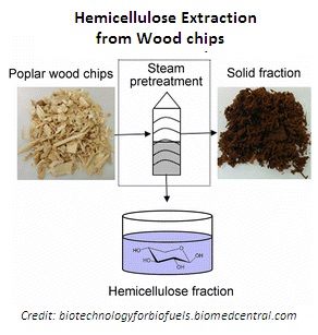 Hemicellulose Extraction from Wood Chips