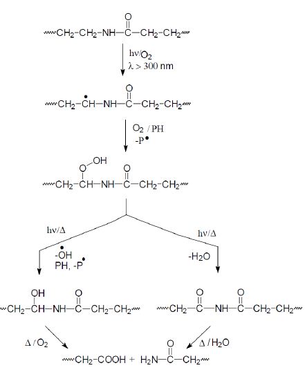 Oxidation of Aliphatic polyamides